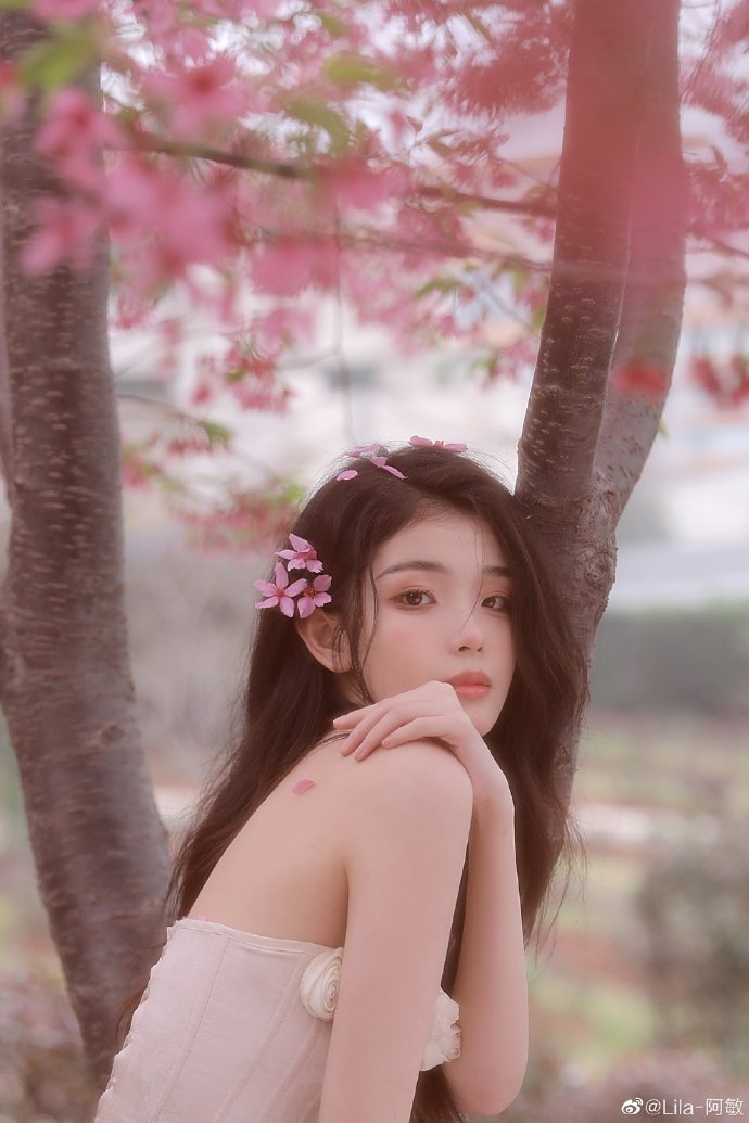 去有风的地方 封面