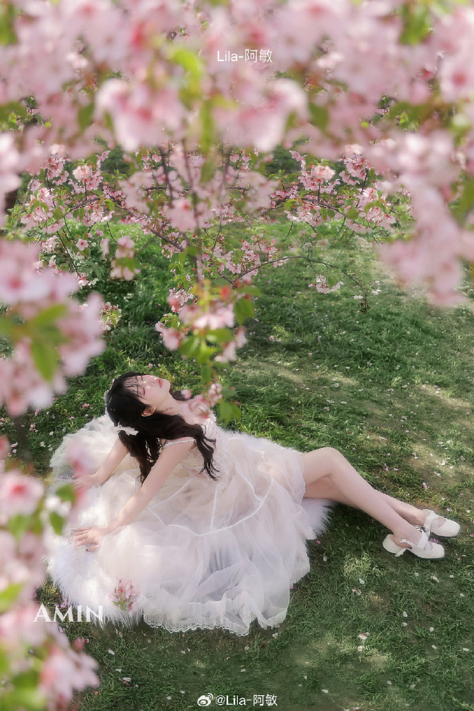 末路狂花